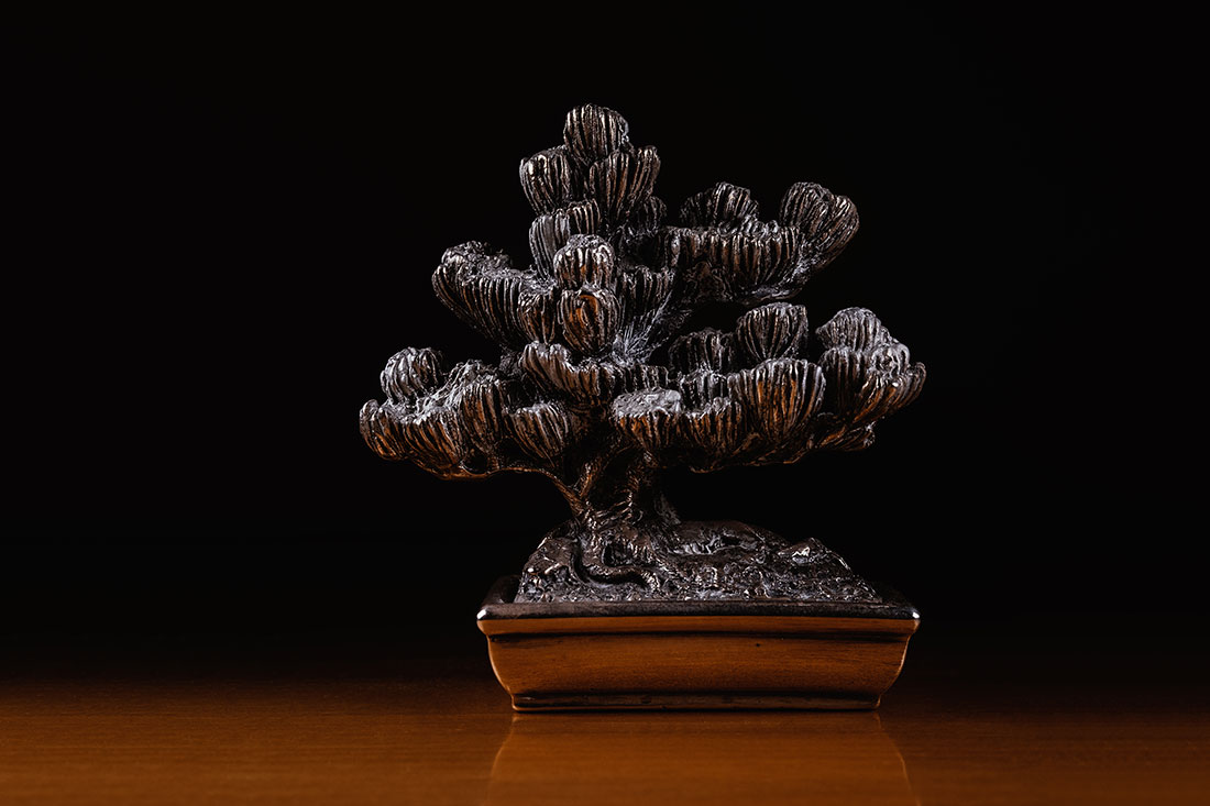 Silver bonsai by Tiziano L. U. Caviglia